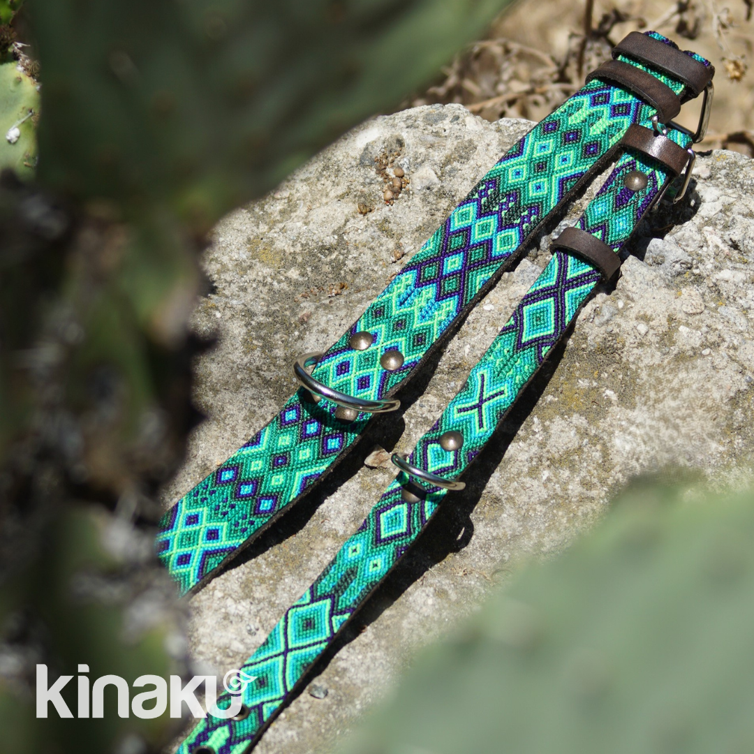 Kinakú Dog collar Becan XS