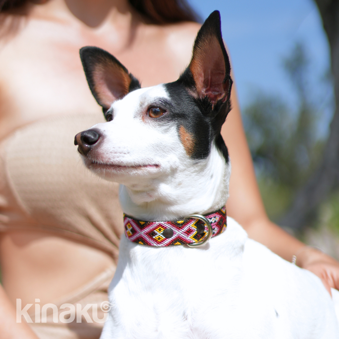 Kinakú Dog collar Celestun XS