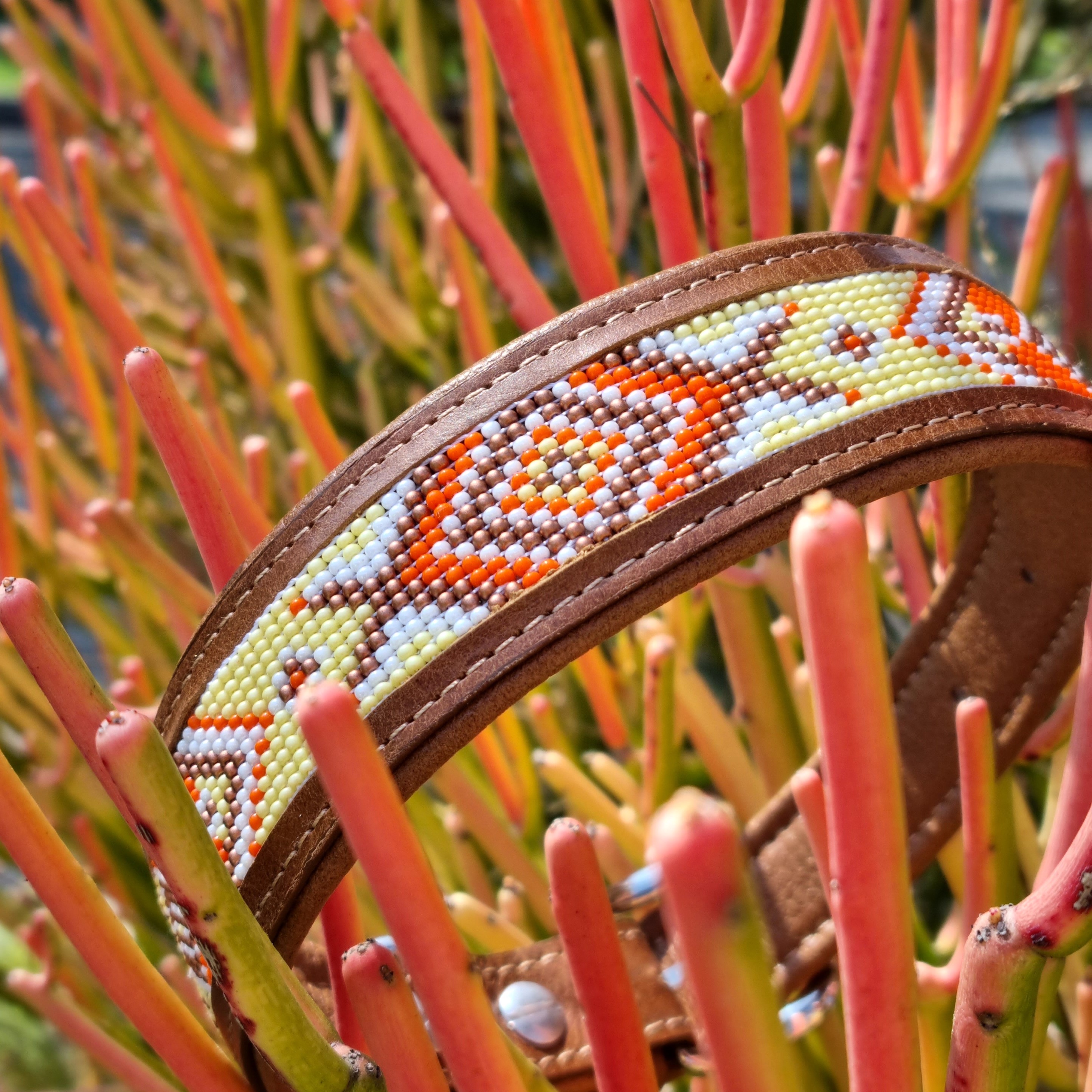 Kinakú Collier pour chien AMBAR XS