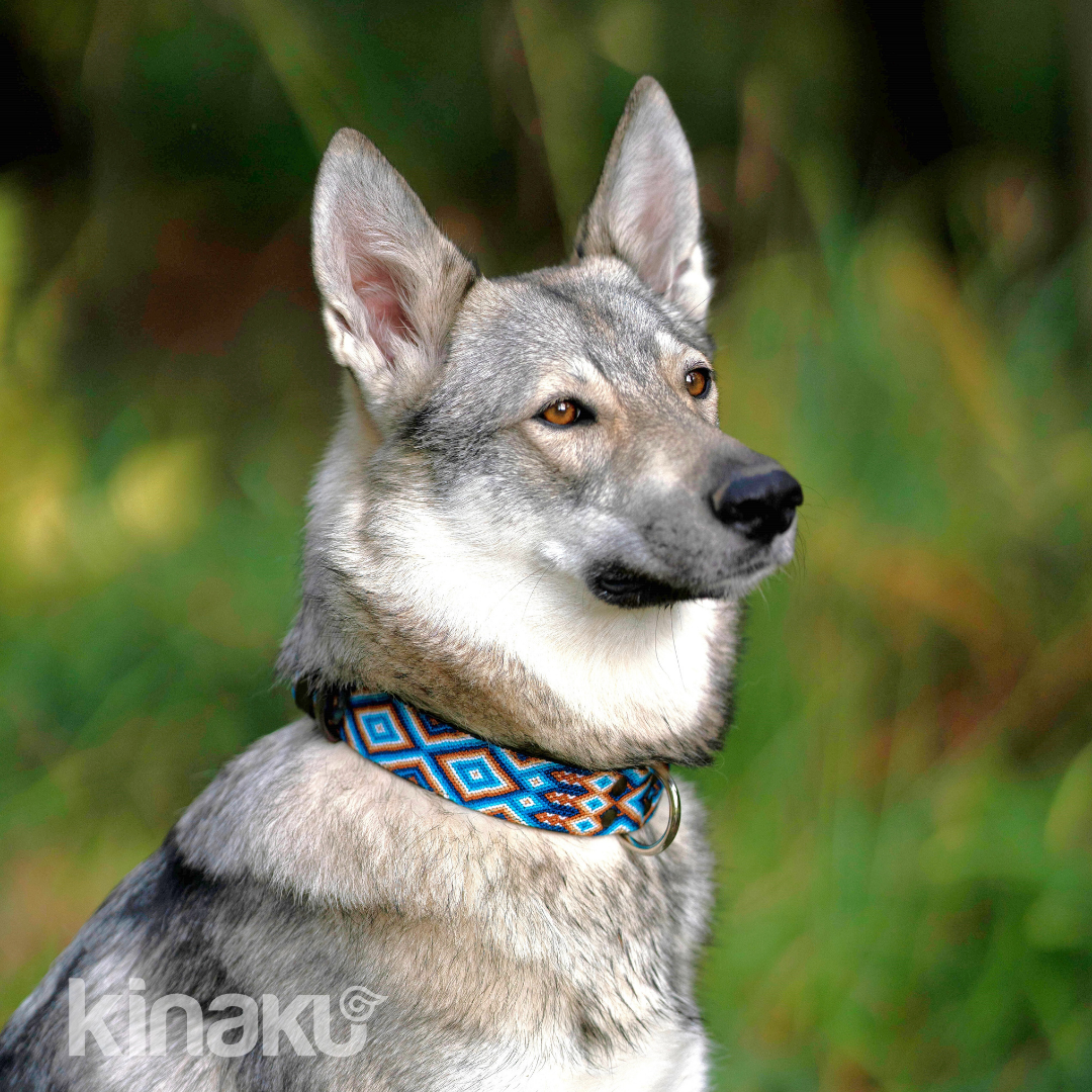 Kinakú Dog collar Nayarit XS