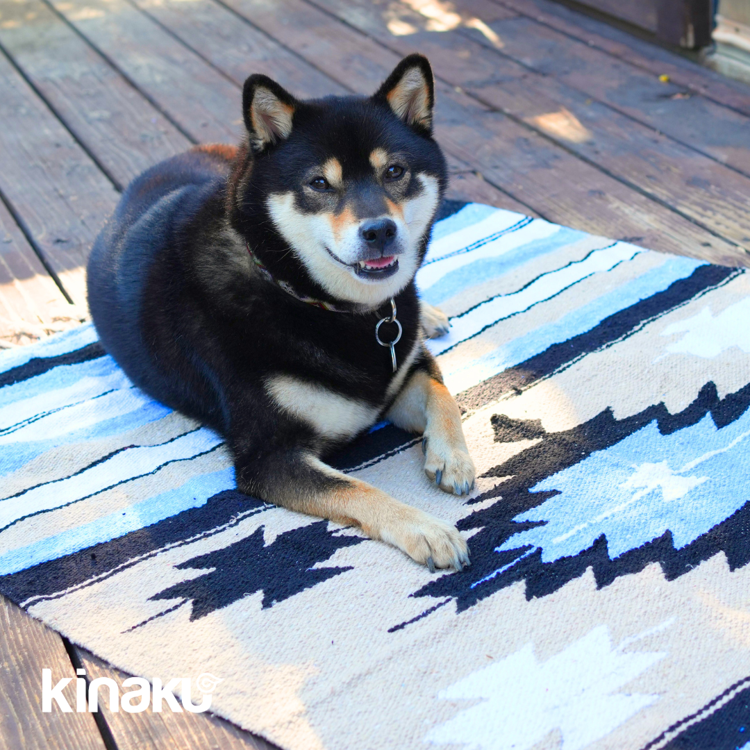 Kinakú Sarape Decke TOLUCA mit Tragegriff