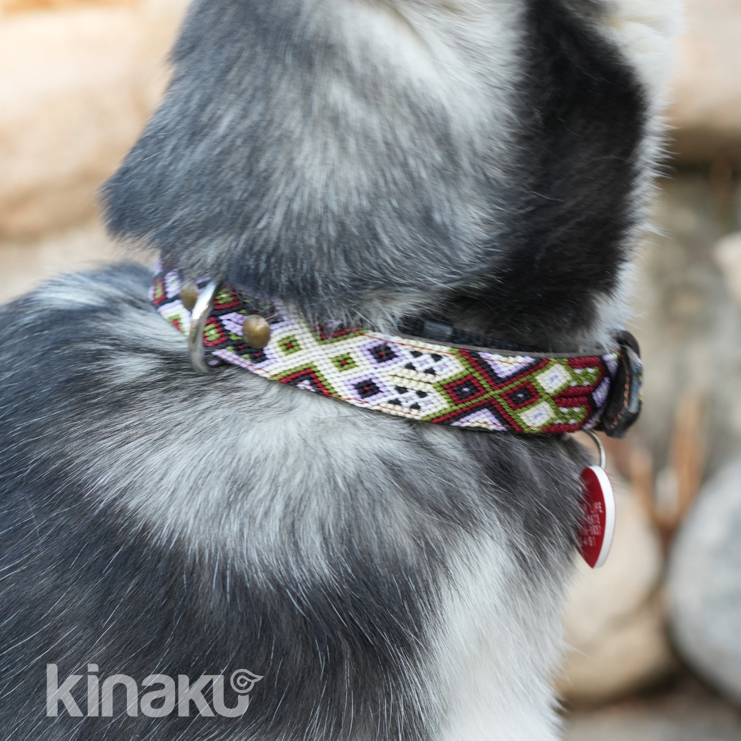 Kinakú Dog collar Holbox XS