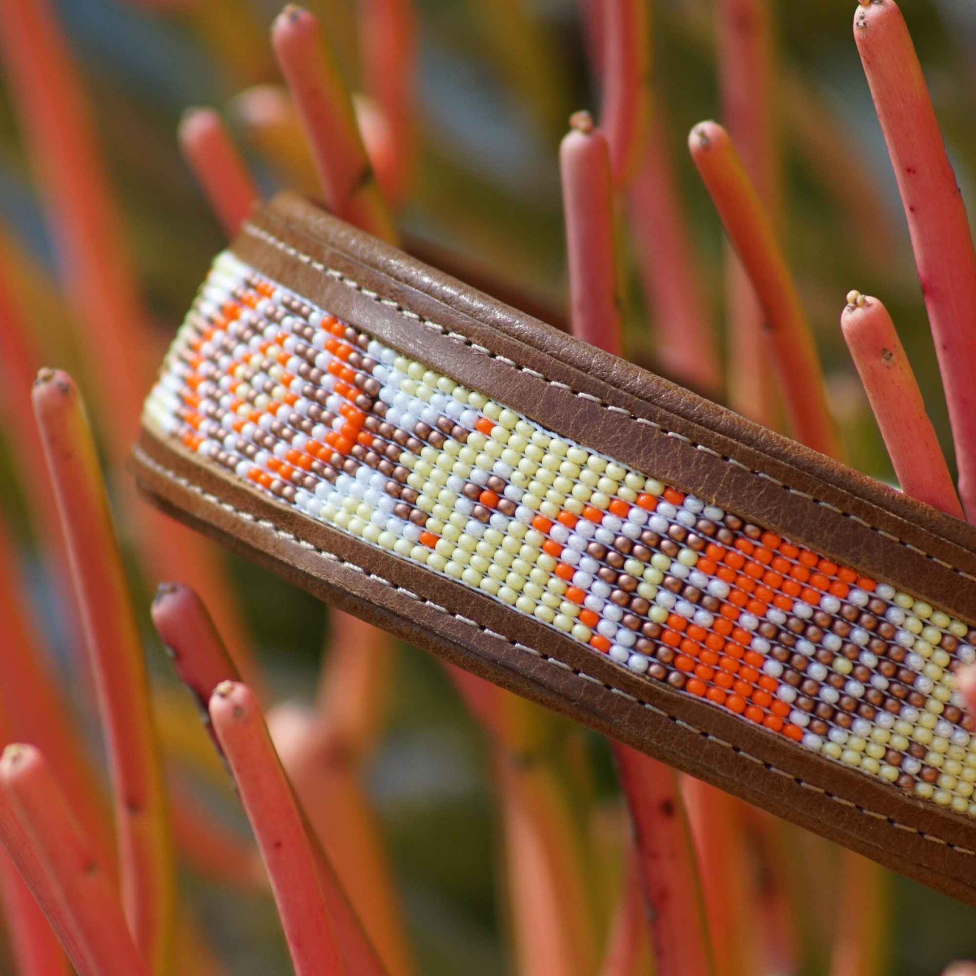 Kinakú Collier pour chien AMBAR XS