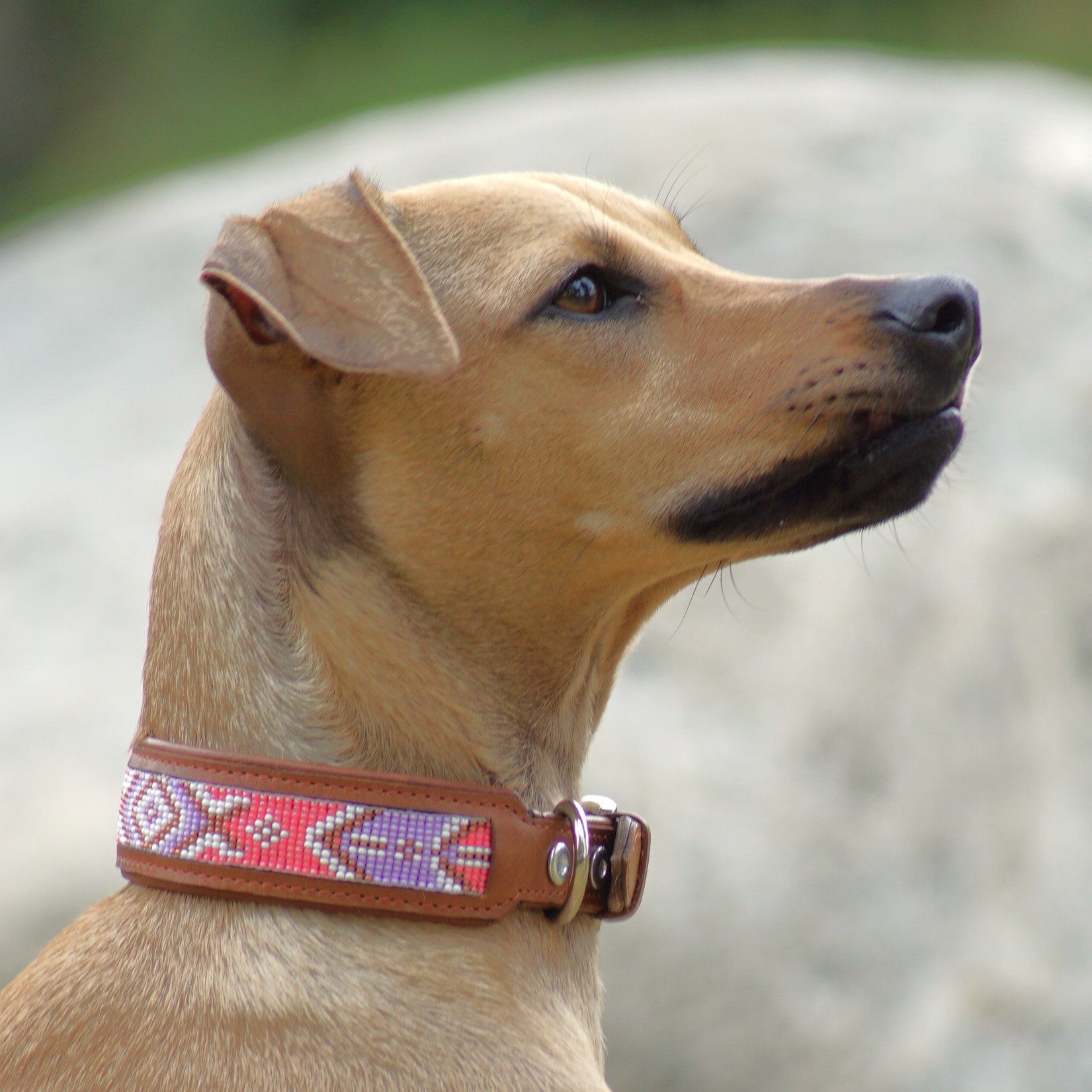 Kinakú Dog collar JOYA L