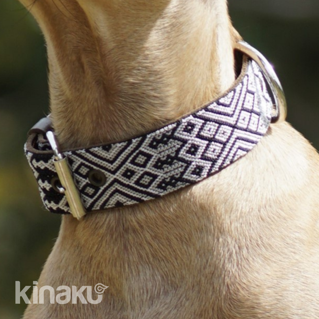 Kinakú Dog collar Coba XS