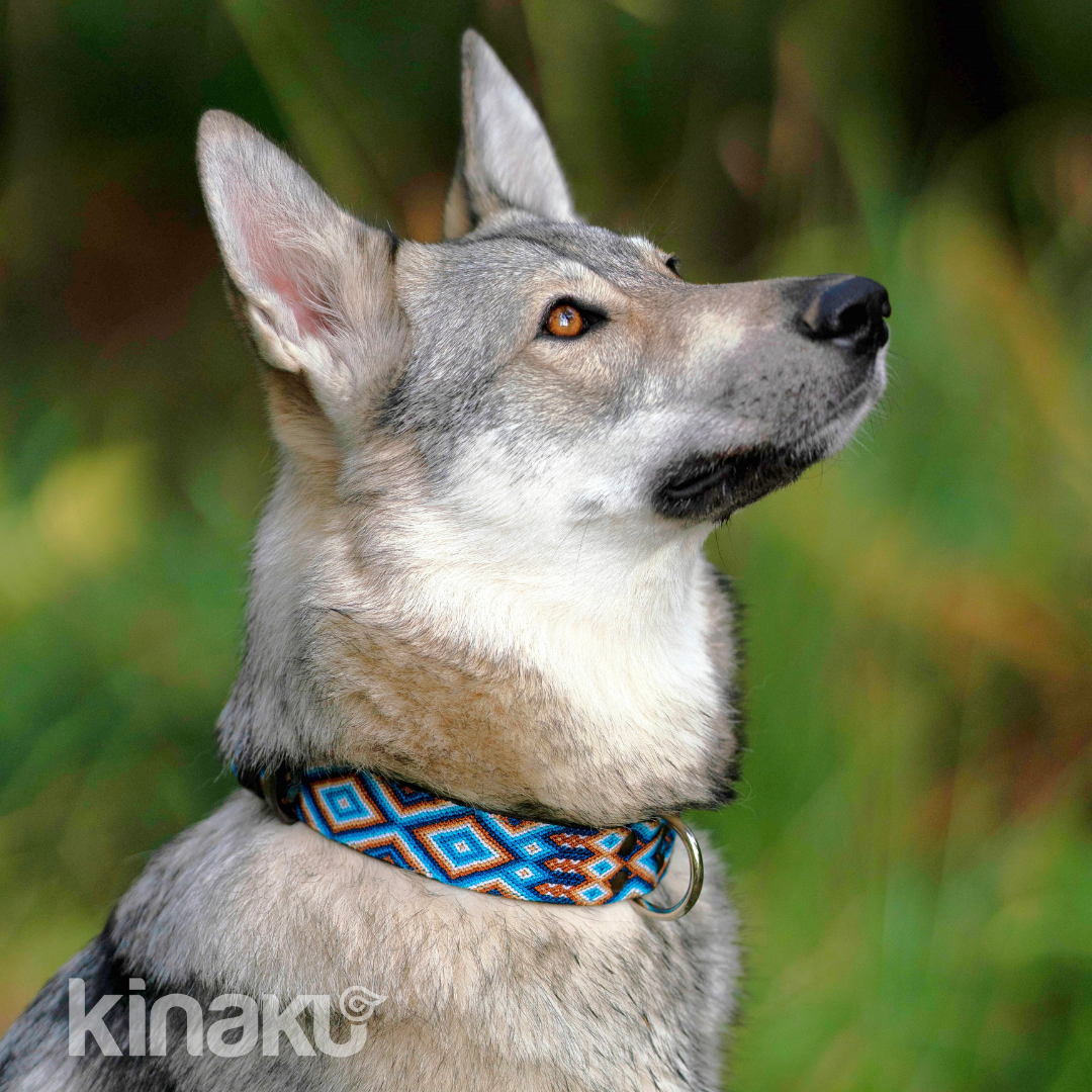 Kinakú Dog collar Nayarit XS