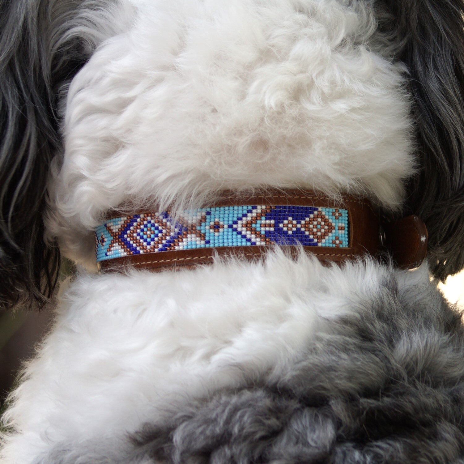 Kinakú Dog collar TOPACIO XS