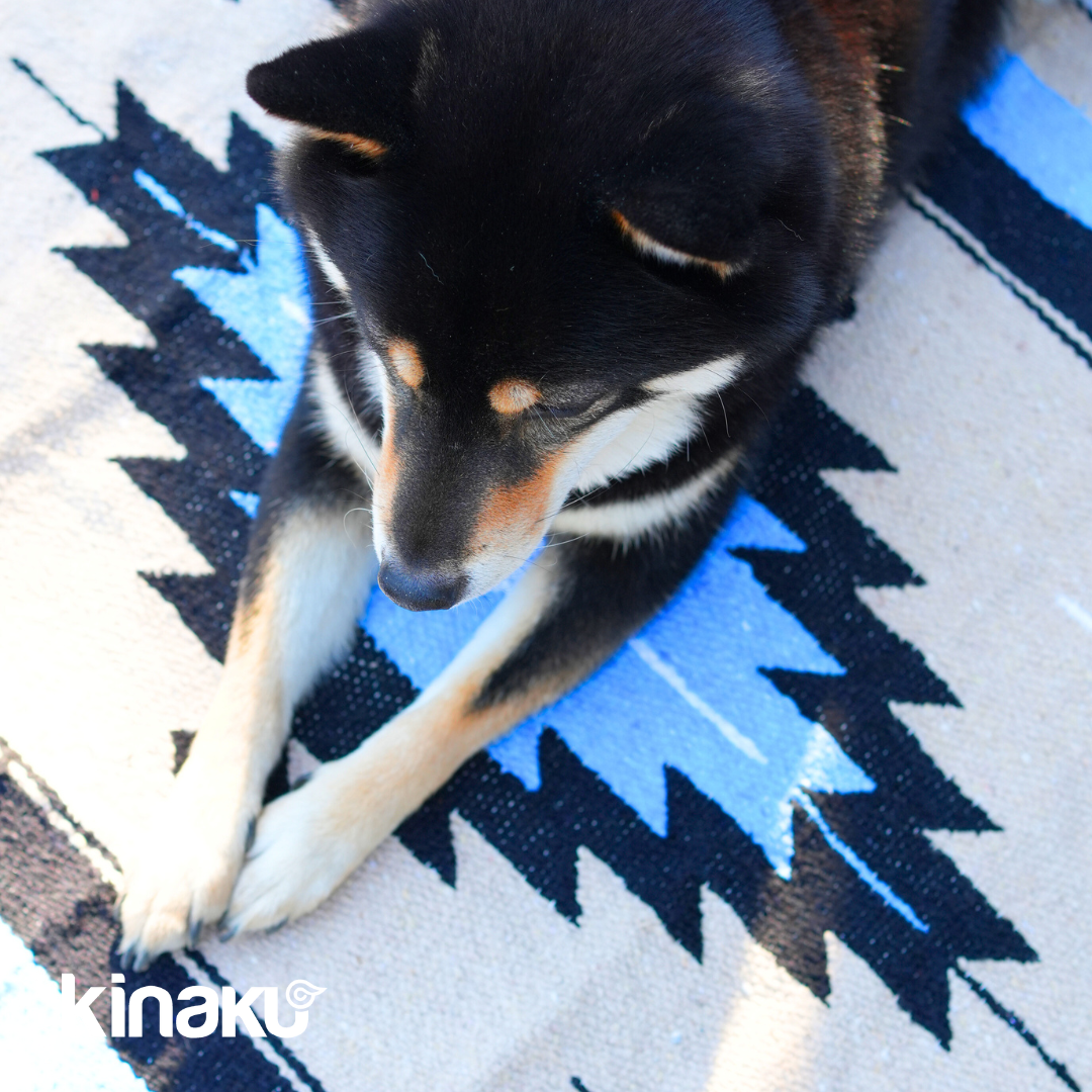 Kinakú Sarape Decke TOLUCA mit Tragegriff