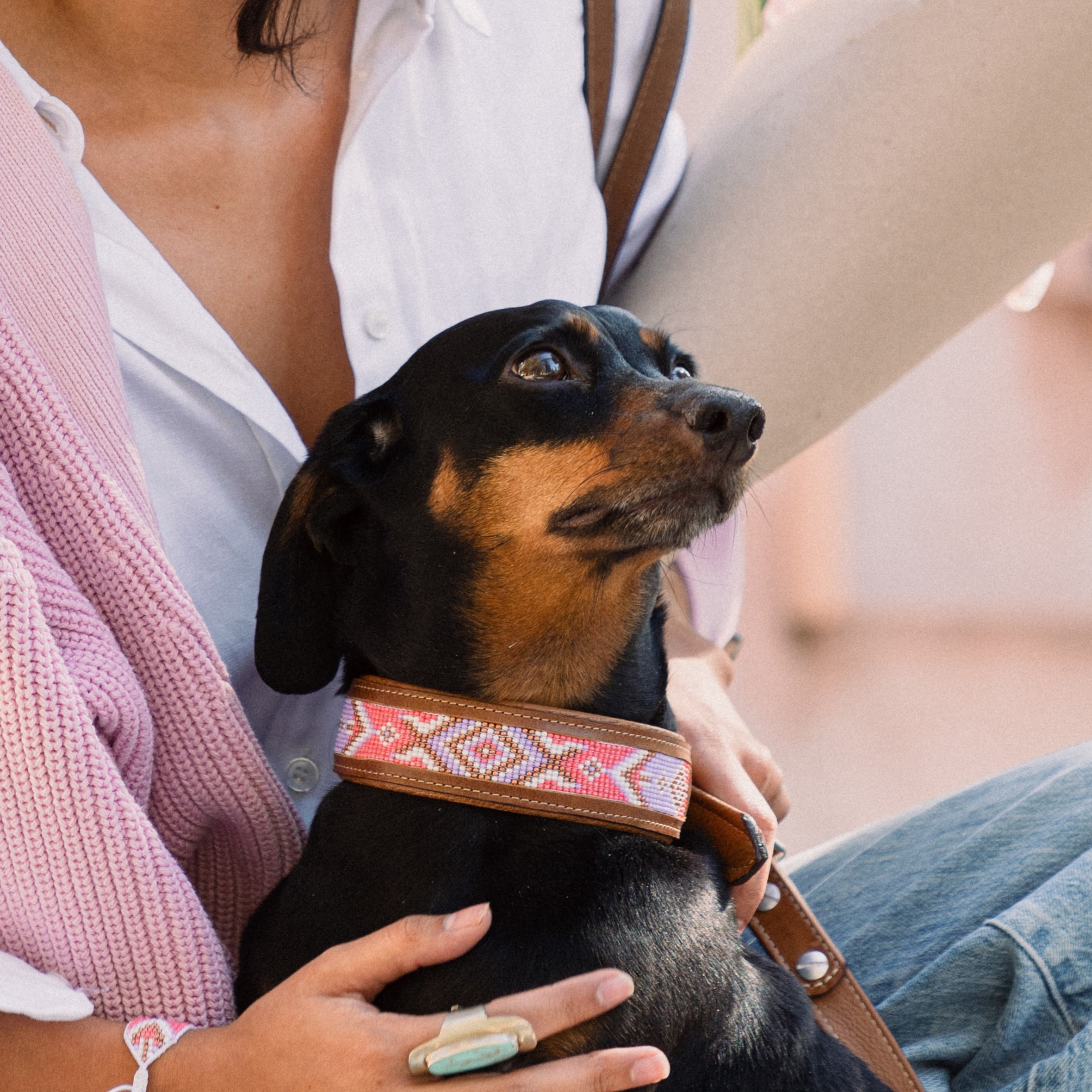 Kinakú Dog collar JOYA L