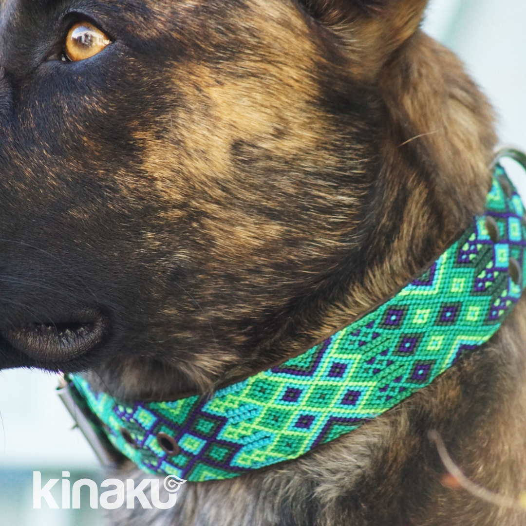 Kinakú Dog collar Becan XS