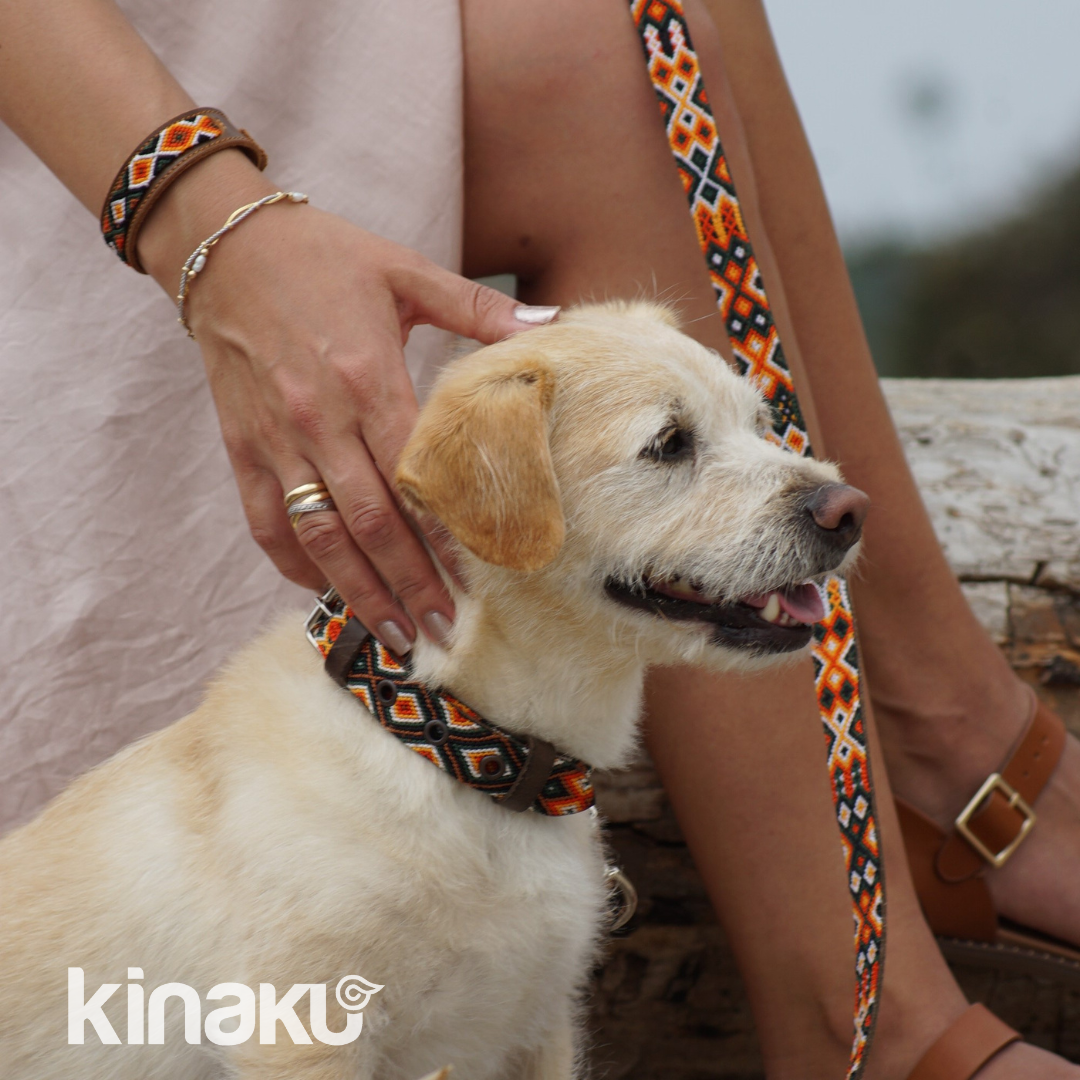 Kinakú Dog collar Bacalar XS
