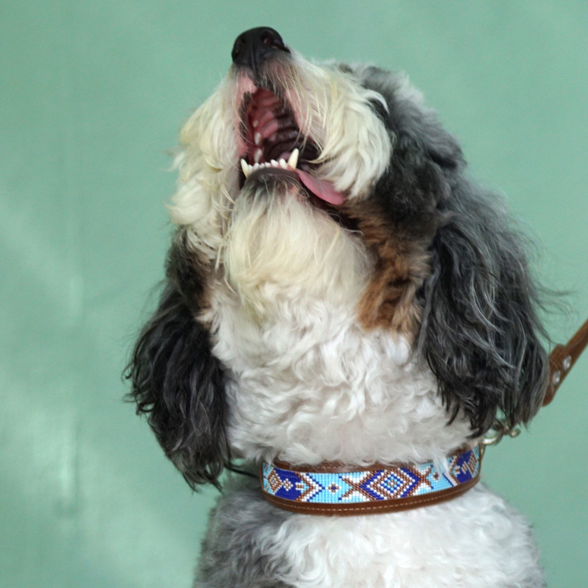 Kinakú Dog collar TOPACIO XS