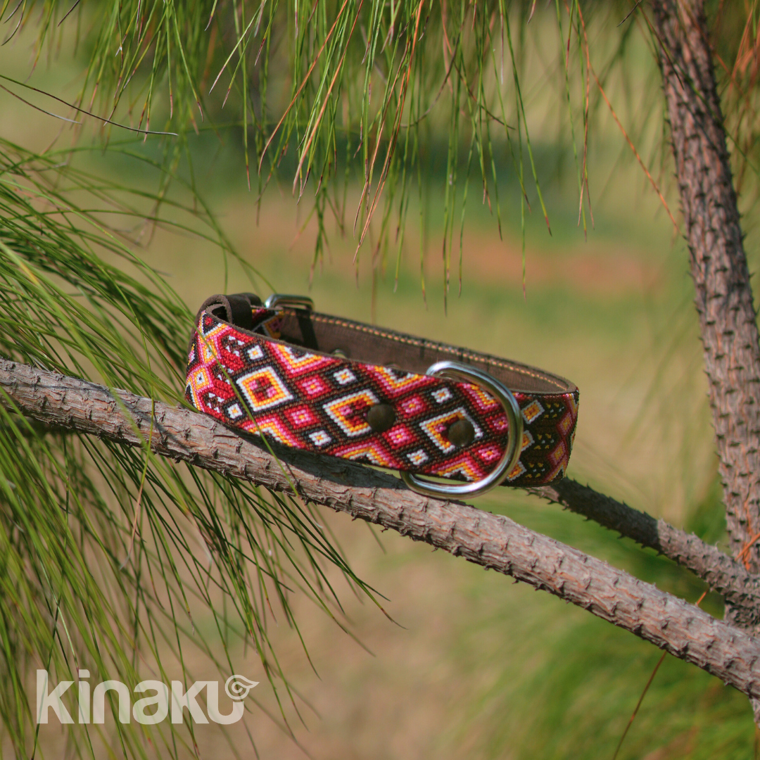 Kinakú Dog collar Celestun XS