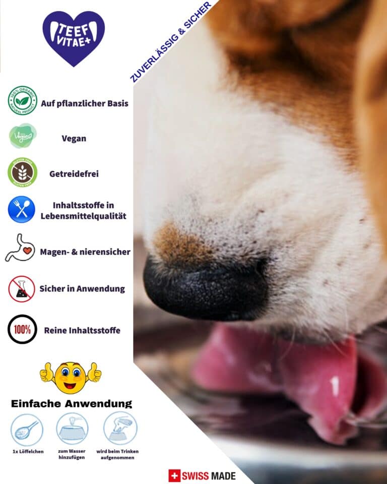 TEEF Vitae+ Zahnpflegepuder 21g