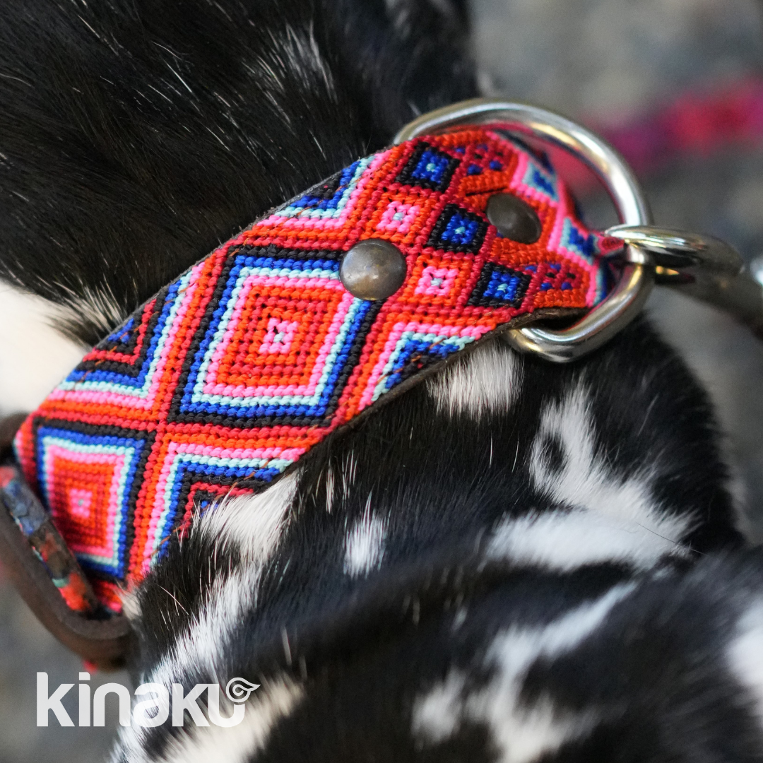 Kinakú Dog collar Akumal XS