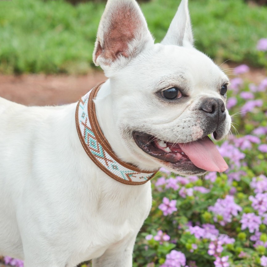 Kinakú Dog collar CALAITA XS